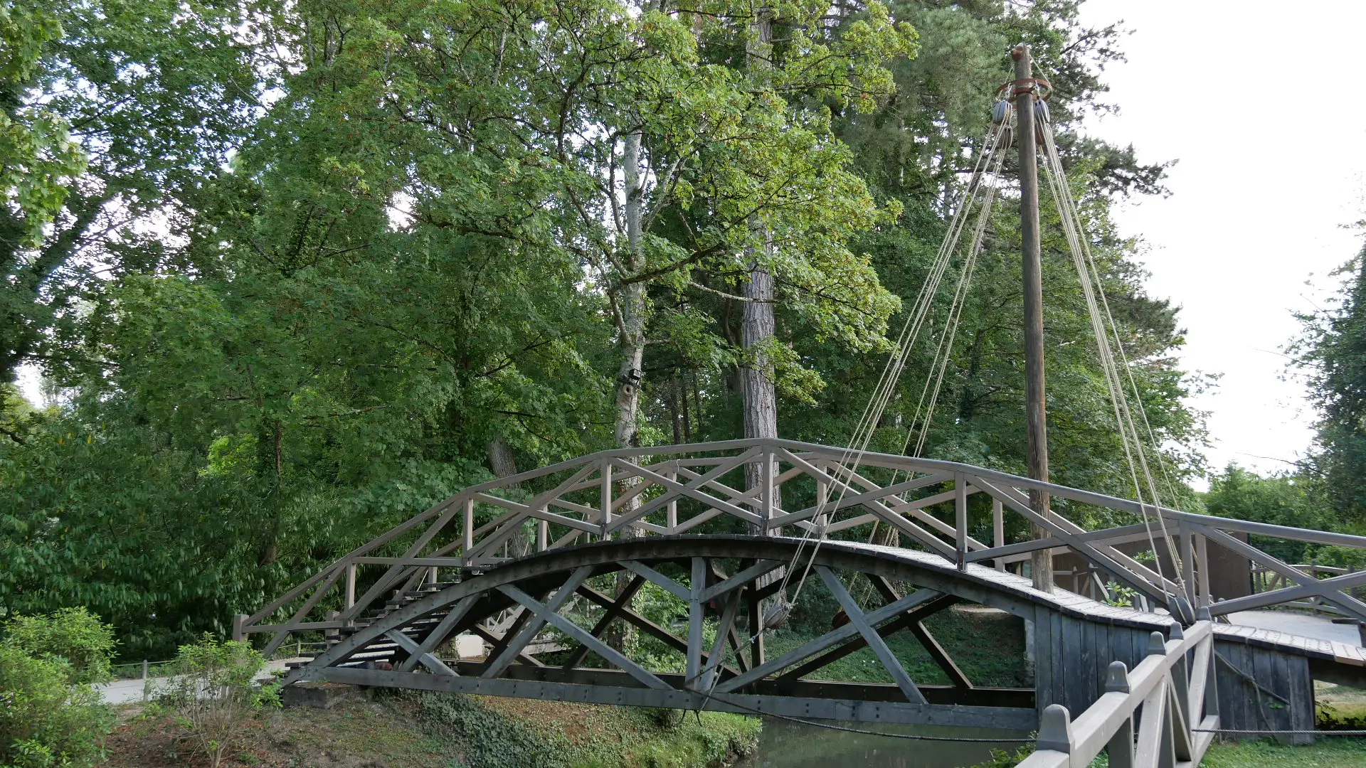 Unterrichtsmaterialien - Hintergrundbild