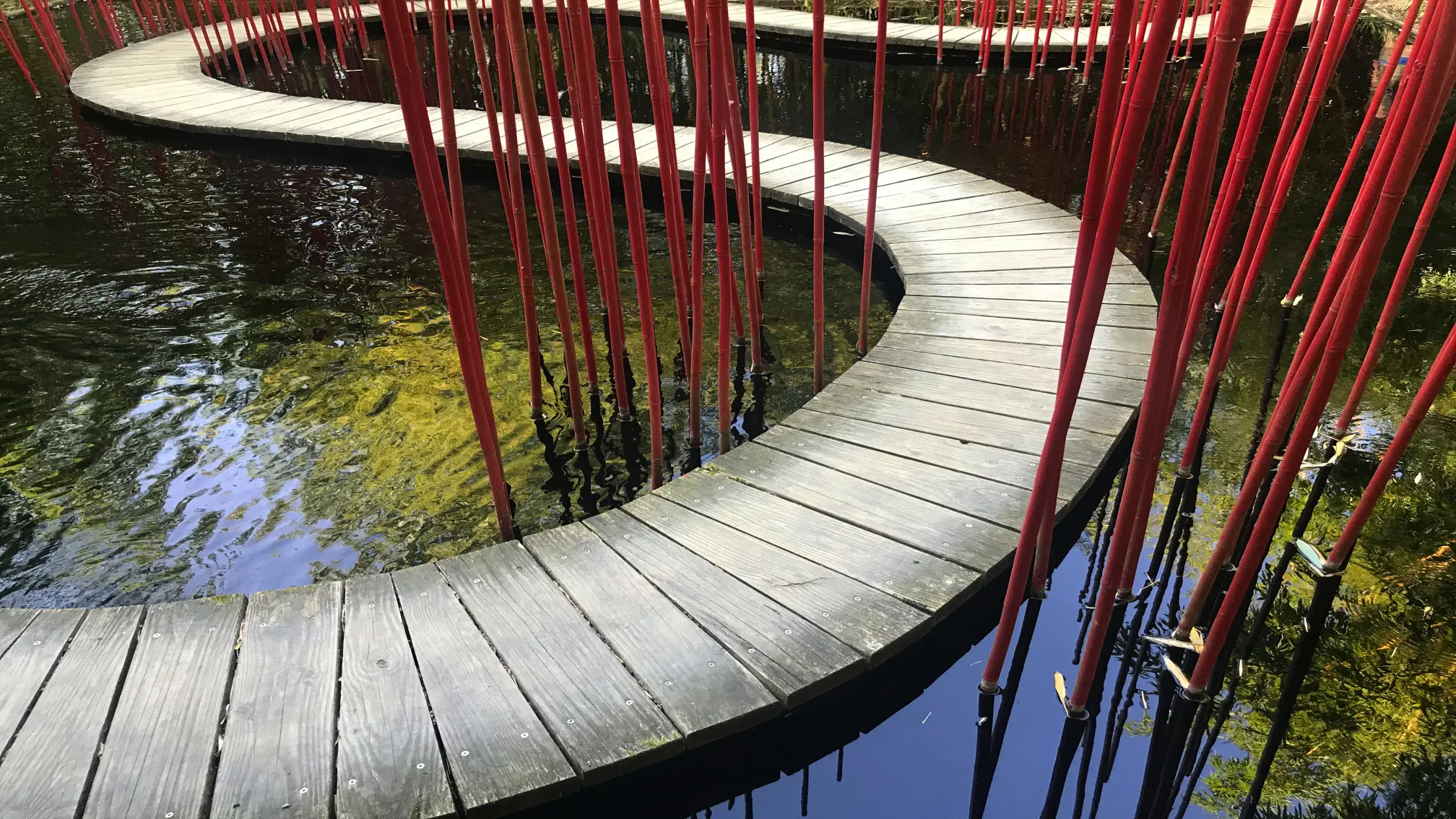 Bild Moderator-Speaker